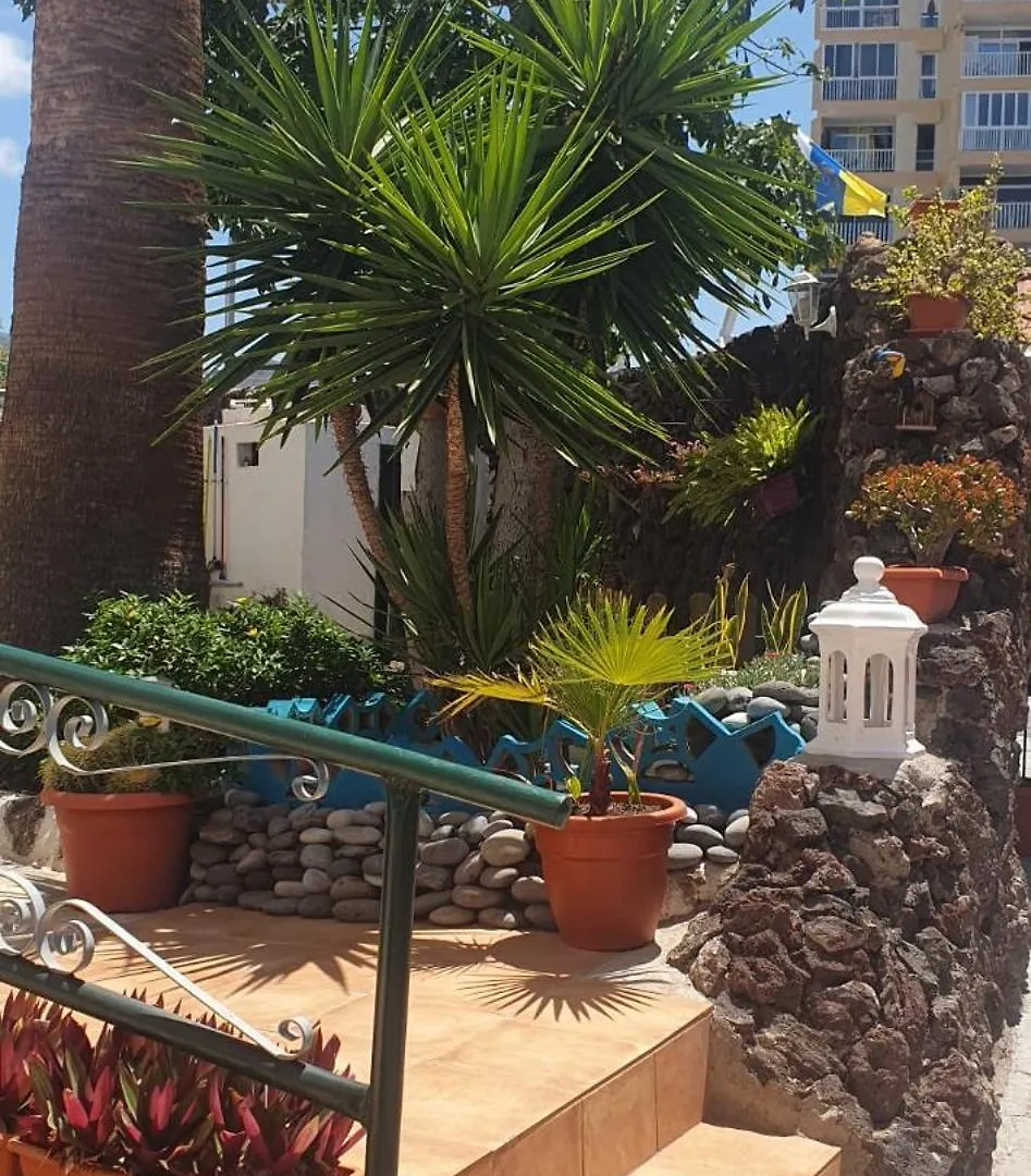 Wonderful White Appartament In Playa Las Americas Playa de las Américas Lejlighed