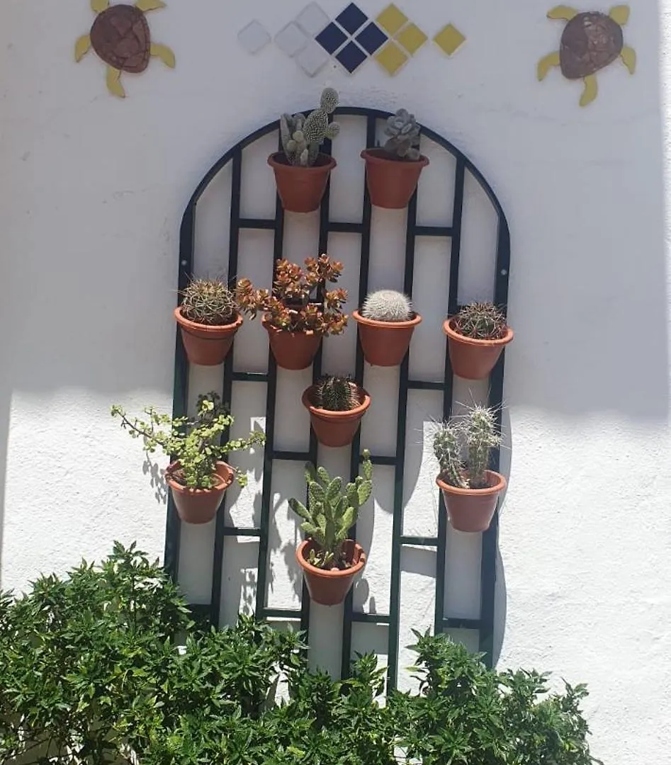 Wonderful White Appartament In Las Tortugas Playa de las Américas Apartment