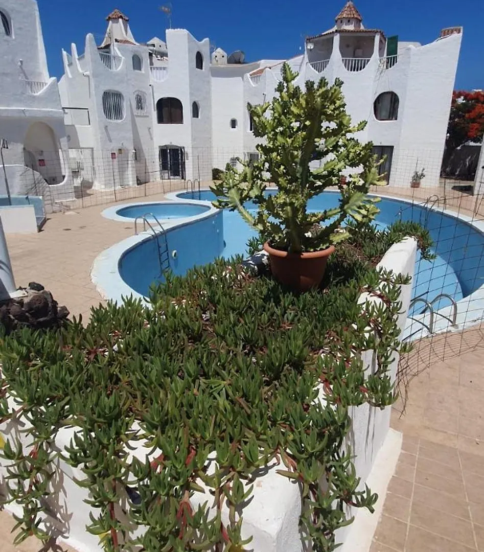 Apartment Wonderful White Appartament In Las Tortugas Playa de las Américas
