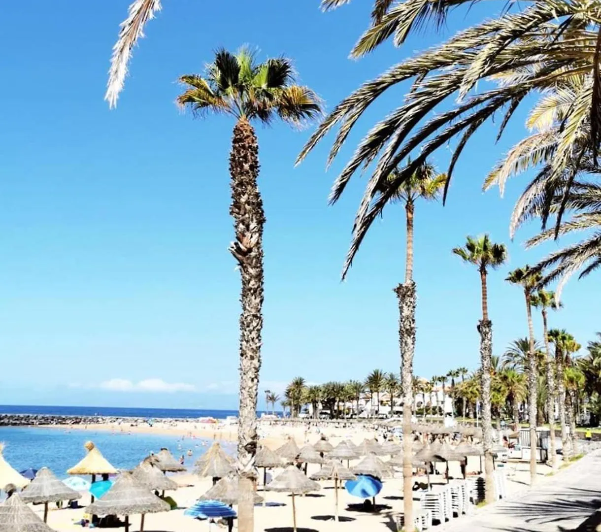 Wonderful White Appartament In Las Tortugas Playa de las Américas Spanien